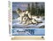 Figured'Art Paint by Numbers Kit for Adults Wolves Couple 16"x20" - Craft Art Painting Rolled Canvas with DIY wooden frame